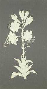 Fiore da Philipp Otto Runge